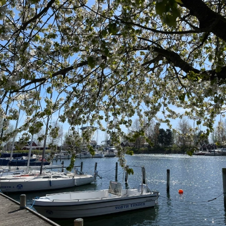 Vallensbækhavn - Billede12