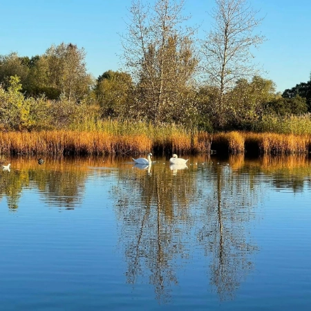 Vallensbækhavn - Billede2