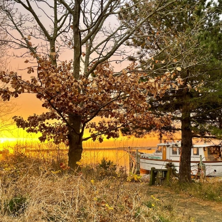 Vallensbækhavn - Billede6