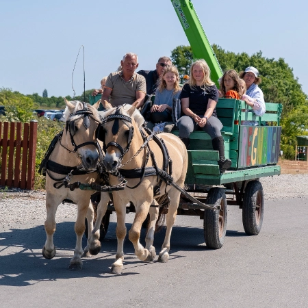 Vallensbækhavn - Billede8