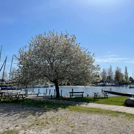 Vallensbækhavn - Billede9